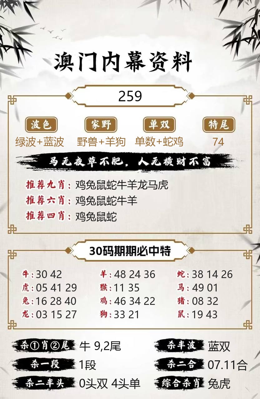 快乐49内幕资料模板